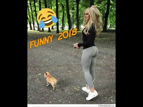 funny dog with fitness girl 2018