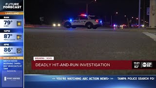 Deadly hit-and-run investigation