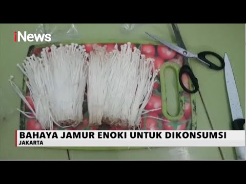 Jamur Enoki Diet