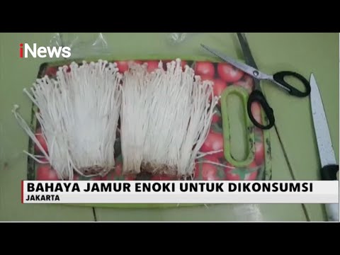 Video: Apa yang anda perlu tahu tentang cendawan berbahaya