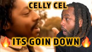 THIS A VIBE! |FIRST TIME HEARING Celly Cel - It's Goin Down REACTION