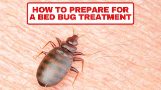 How To Prepare For a Bed Bug Treatment- BUGCO Pest Control San Antonio Texas