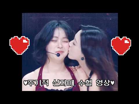 [ ITZY ] 주기적 신자매 수혈 영상 [ 있지 ]