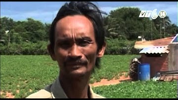 VTC14_Ứng dụng năng lượng mặt trời vào sản xuất nông nghiệp tại Ninh Thuận