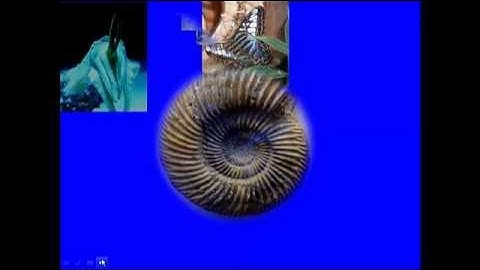 Lecture 1  Predicting Gene Function by Comparative Genomics