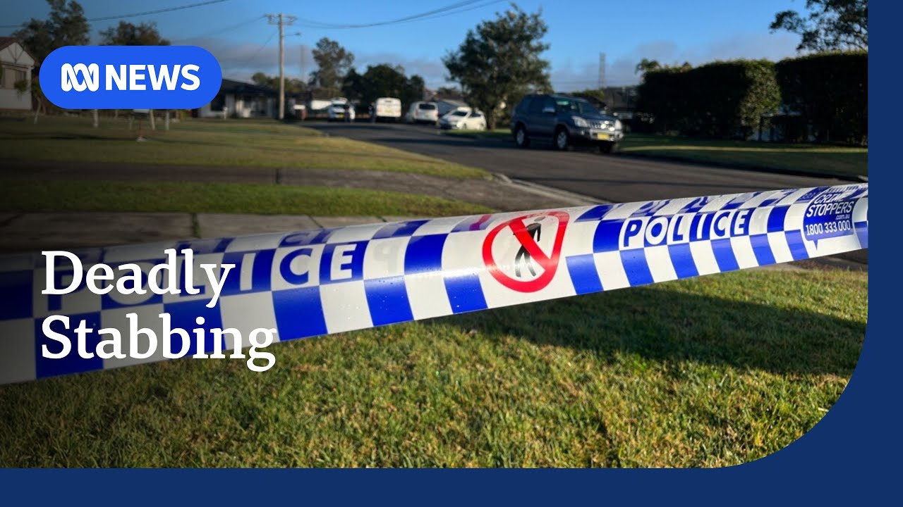 Teenage girl dead, another arrested after stabbing near Newcastle | ABC NEWS