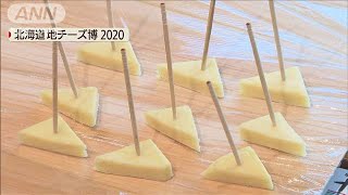 北海道産チーズPR　欧州産に対抗　食べ比べ大行列(20/02/14)