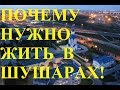 Шушары. Почему нужно жить в Шушарах.