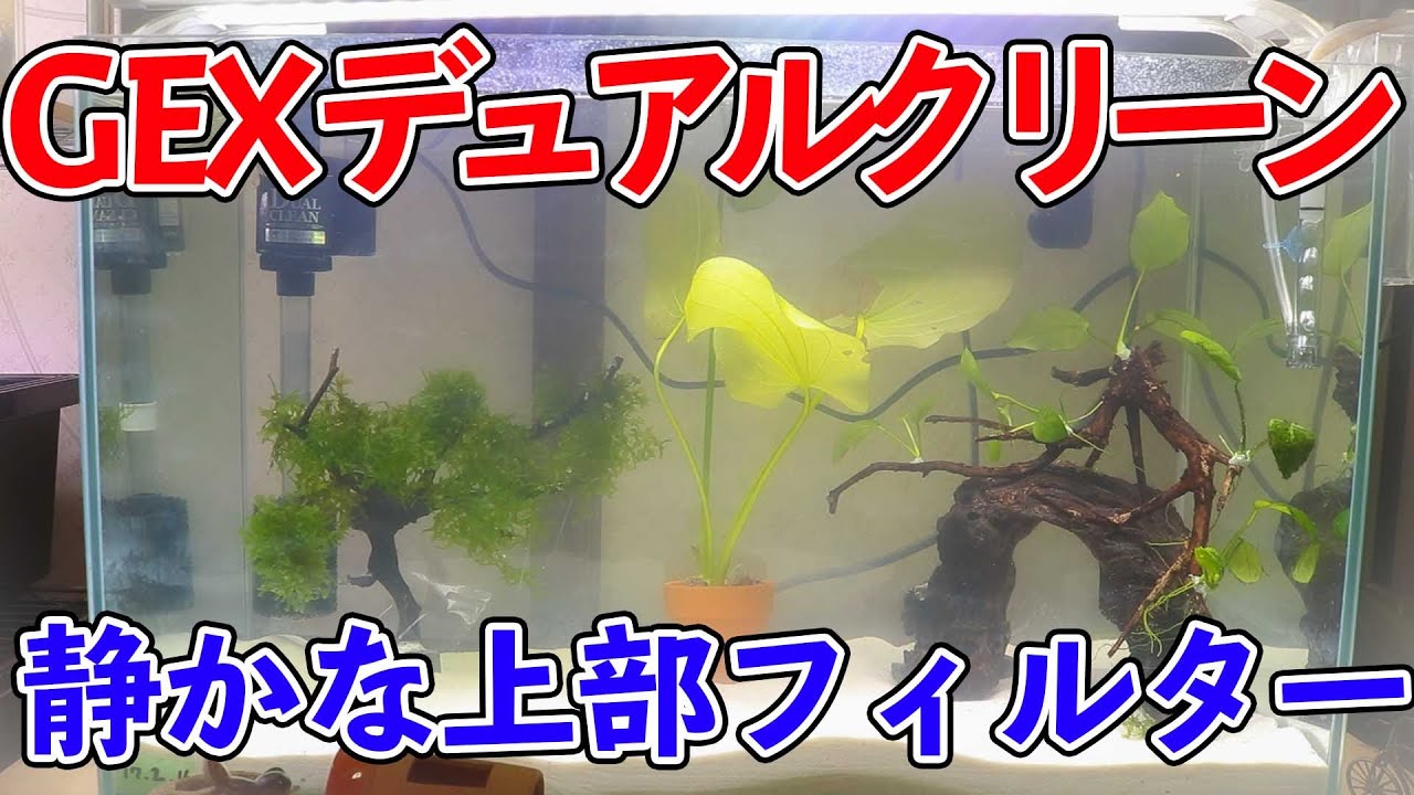 ジェックス デュアルクリーンフリー Dc 4560 魚の価格と最安値 おすすめ通販を激安で