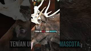 El genio con nariz de metal… y una muerte absurda #historia  #history #personajeshistóricos