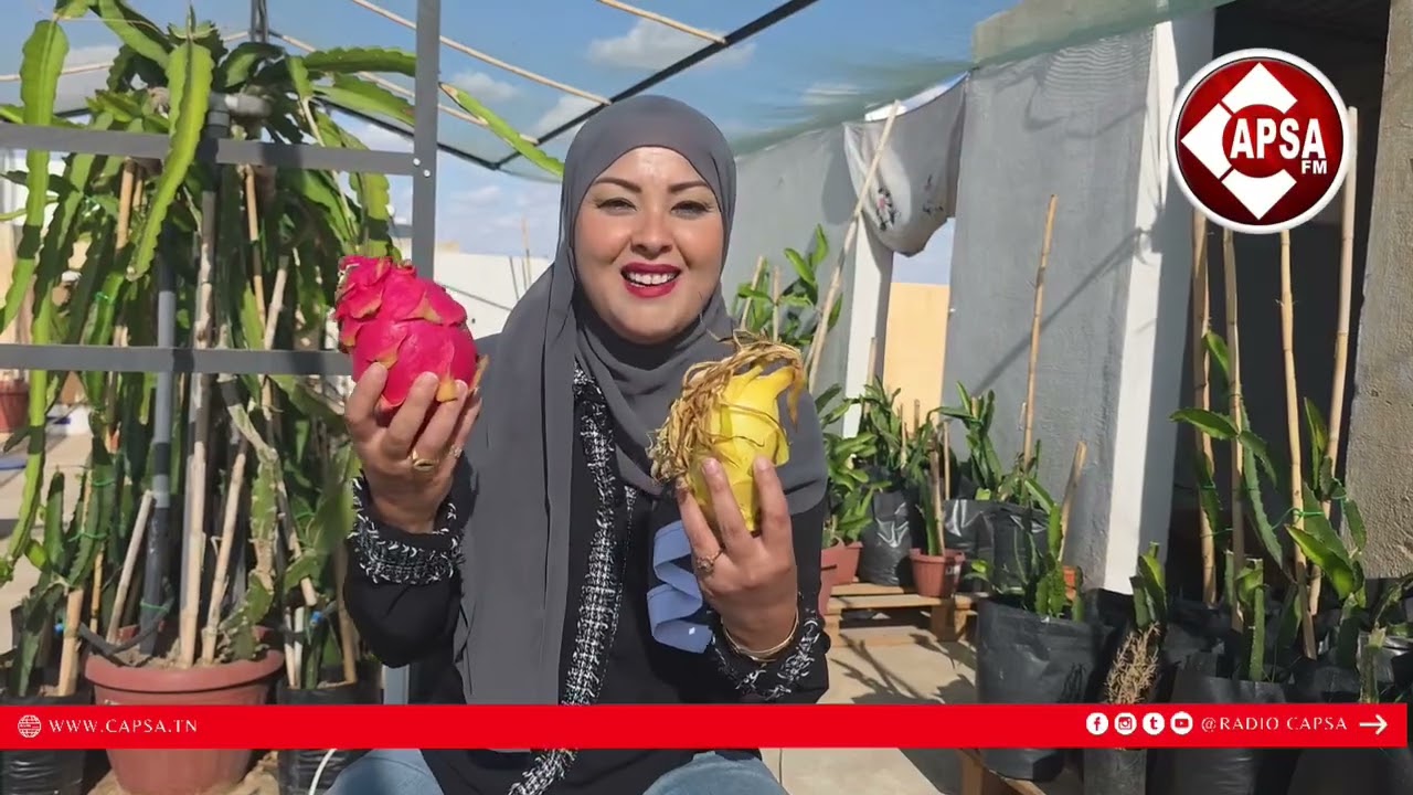 حديقة استوائية فوق سطح منزل في تونس!