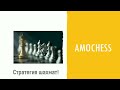 Компенсация за пешечные слабости 2 - фрагмент из лекции.