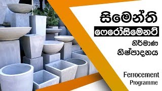 සිමෙන්ති ආශ්‍රිත විසිතුරු නිර්මාණ (මල් පෝච්චි) | Cement Based Products (Ferrocement)