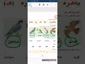 وانەی کوردی مامۆستا هدی پۆلی 1 پیتی ه قوتابخانەی شاهانی بنەرەتی ناحکومی