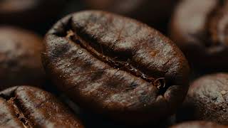 What Makes a Coffee Bean Naturally Low Acid