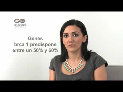 Vídeo: Candidato Interacciones Genético-ambientales En Cáncer De Mama