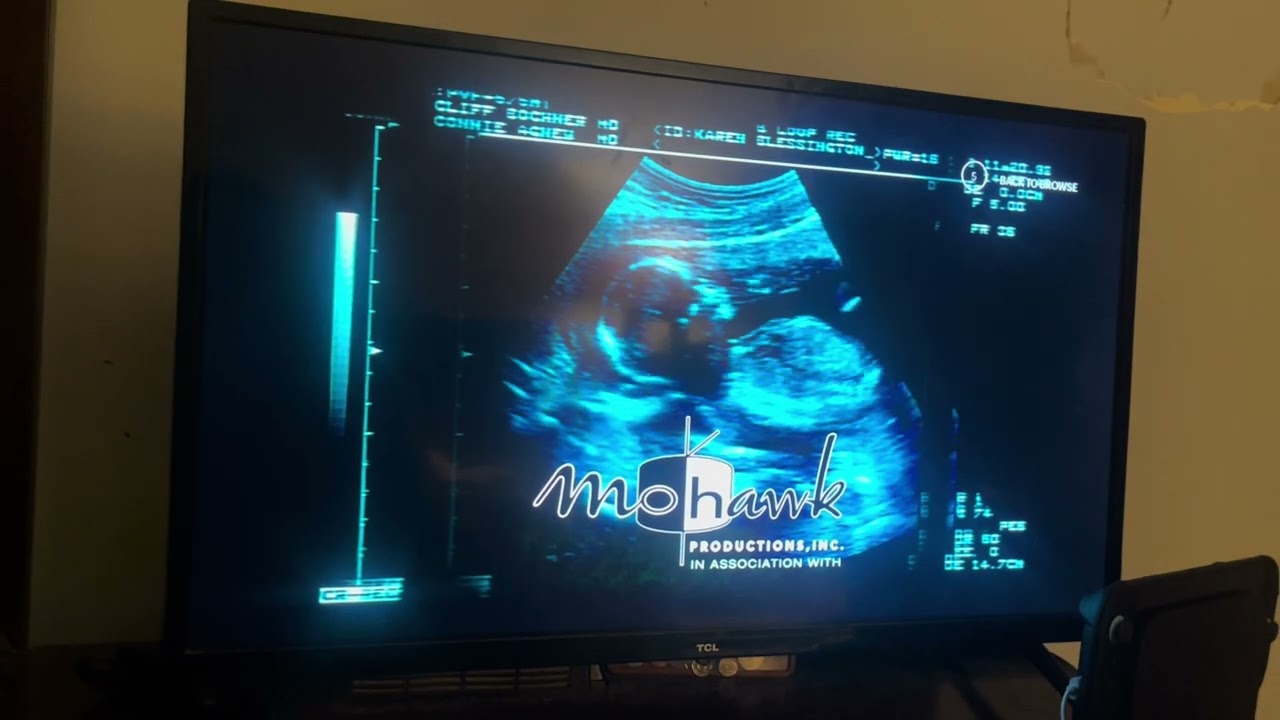 Fortis Productions/Mohawk Productions/Warner Bros. Television (2002-03)