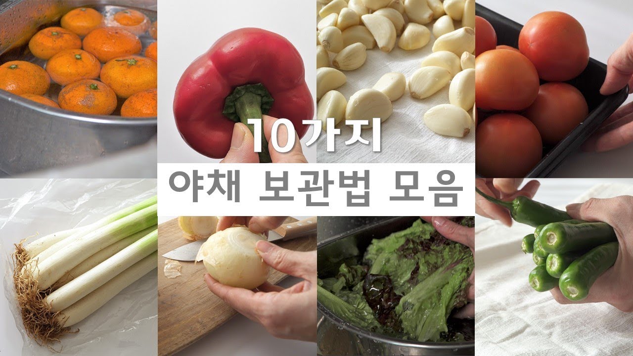 과학적이고 현실적인 야채 보관법