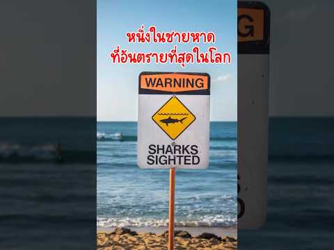 Animal Presentsหนึ่งในชายหาดที่อันตรายที่สุดในโลกanimalpresentsyoutubeshort หนึ่งในชายหาดที่อันตรายที่สุดในโลก animalpresents  youtubeshorts