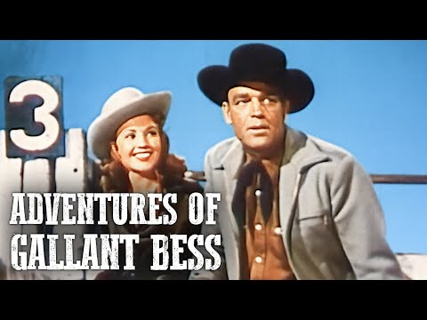 ADVENTURES OF GALLANT BESS