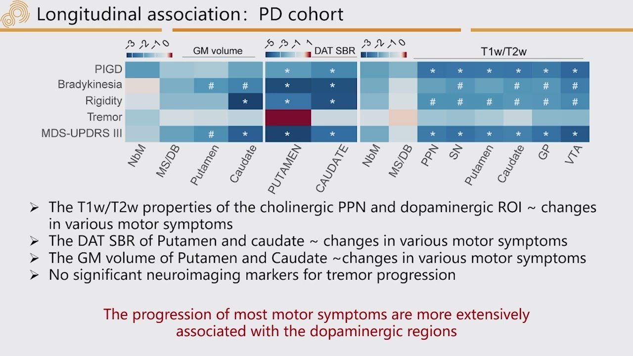 OHBM 2024 | Oral Session | Peng Ren |  Synergic cholinergic and dopaminergic role in motor symptom…