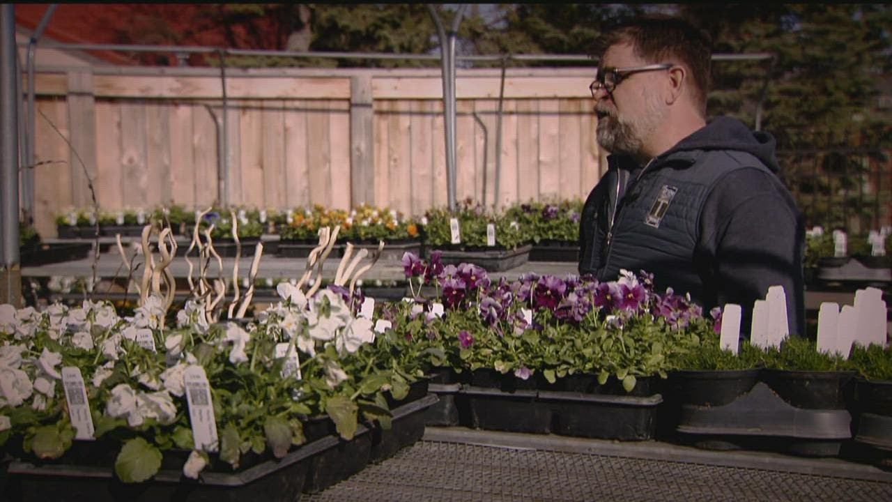 Where is spring in Minnesota this year?