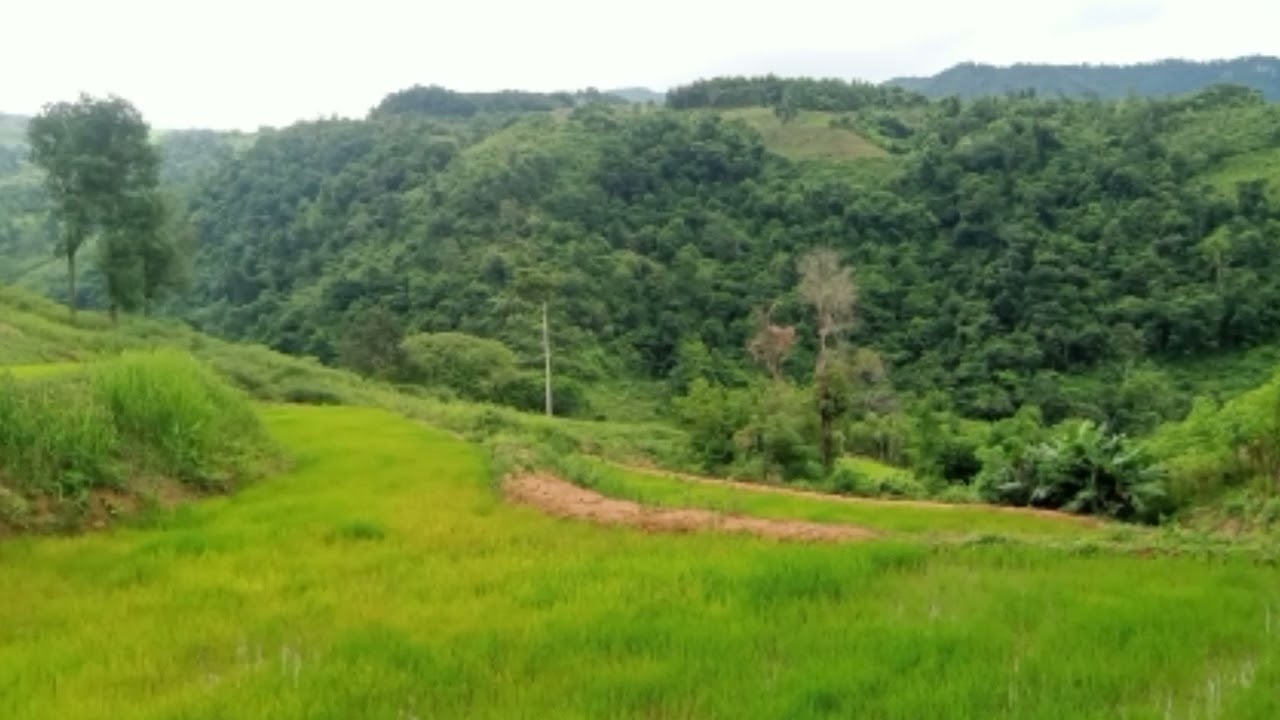 Zaj tshoob: Zaj raim kaug