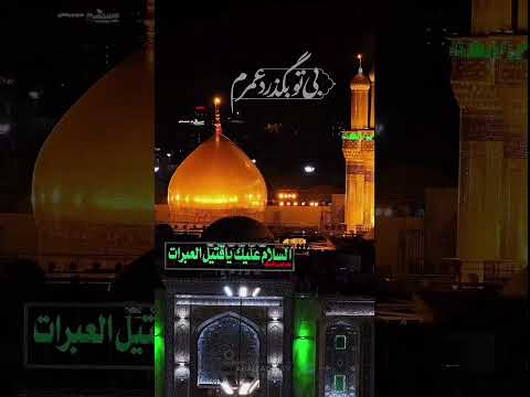 هزار بار بمیرم