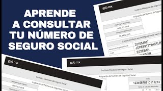 Aprende Paso A Paso, Como Consultar Tu Número De Se Social.