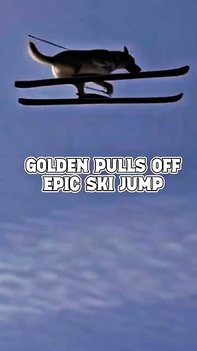 Epic Dog Ski Jump Leaves Crowd Cheering!