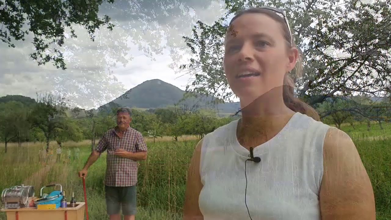 Burlen in Beuren: Ostfriesischer Volkssport am Albtrauf