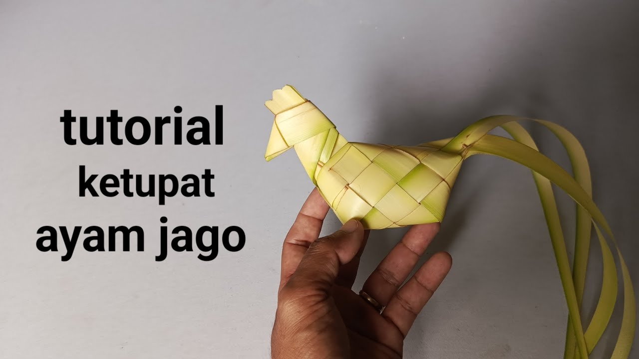 Cara membuat ketupat ayam jago