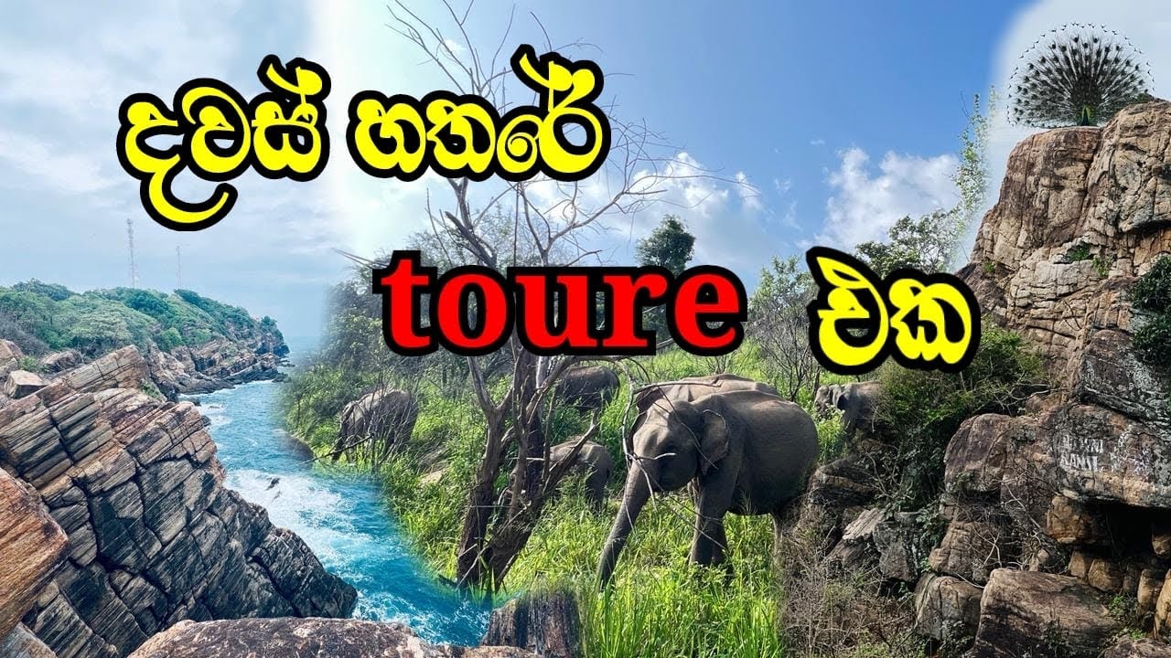 දවස් හතරේ toure එක | galle fort | pinnawala | trincomalee | safari | sigiriya | lion rock