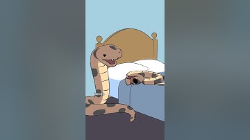 The hognose snake will play dead when threatened. If turned onto its stomach it will flip back over