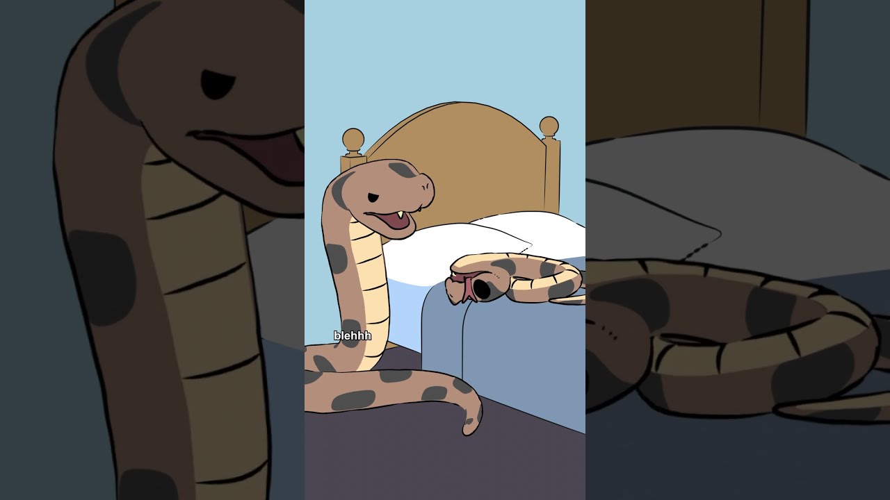 The Hognose Snake Will Play Dead When Threatened If Turned Onto Its Stomach It Flip Back Over