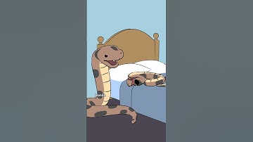 Thumbnail of The hognose snake will play dead when threatened. If turned onto its stomach it will flip back over