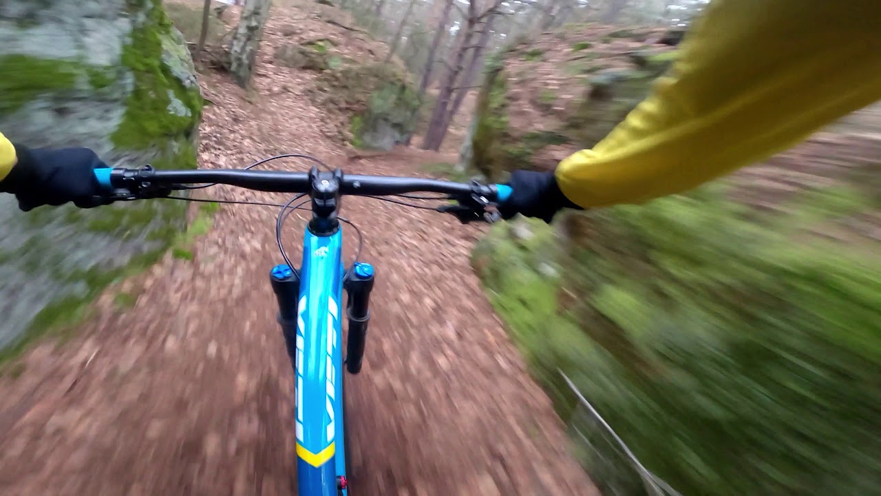 Kokostezky - Milča trail