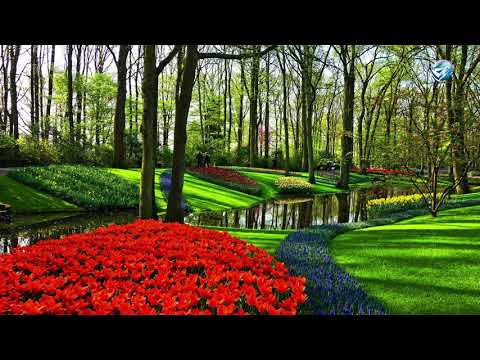 andacht----wie-sieht-dein-garten-aus