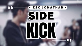 How to Perform a Side Kick on the Lagree Fitness M3K+ Megaformer (tips and tricks)