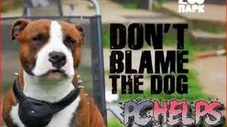 Не вините Собаку / Don't Blame the Dog (2012) Серия 1 Не вините Собаку / Don't Blame the Dog (2012) Серия 1