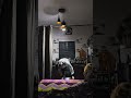 Cinematic Lighting Setup | Mobile Cinematography #cinematic #cinema #cinematicvideo #filmmaking