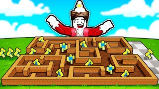 I made Noobs escape this MAZE to get RICH