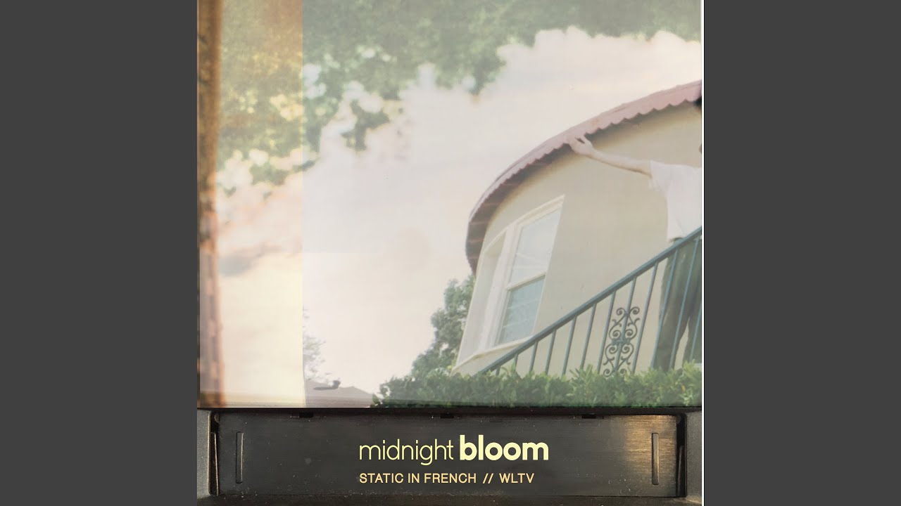 Watch midnight bloom on YouTube Watch midnight bloom on YouTube