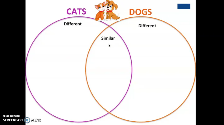 Venn Diagrams