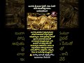 #GoldNews #Modi #PIBFactCheck #TeluguNews #ViralNews #BreakingNews #Shorts