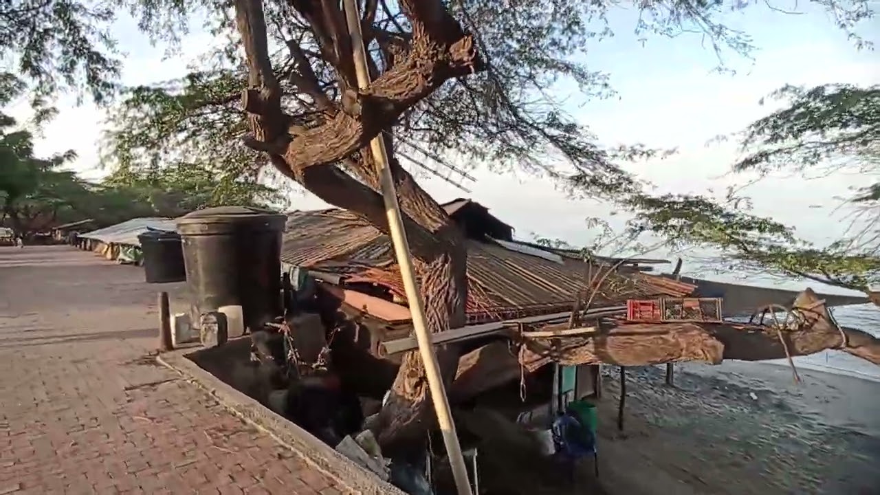 Ven y disfruta de una caminata por el aeropuerto de santa Marta te recomiendo 