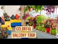 MY COLORFUL BALCONY GARDEN TOUR | FESTIVE LOOK-Sabita's creativity and lifestyle