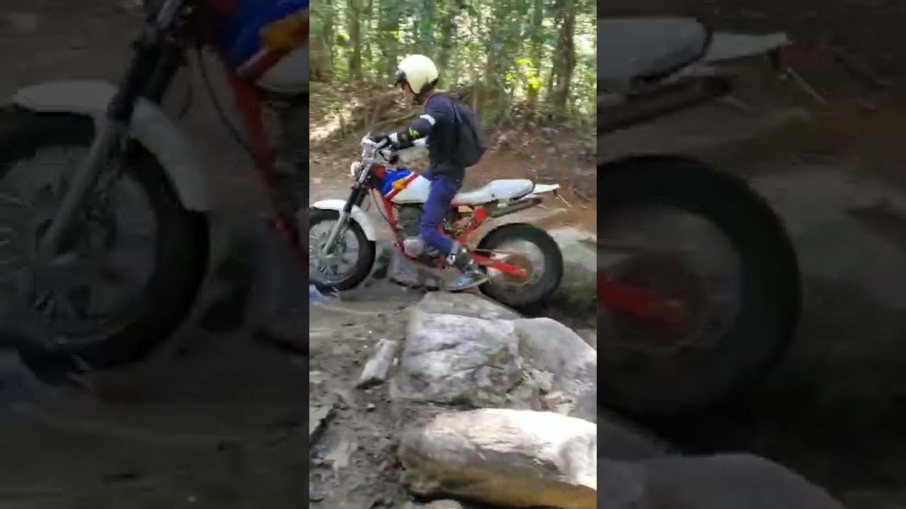 【FTR223】レストア最終章！ついに復活！？5年以上も放置されたバイクは走るのか？　トラッカーカスタム　GB250カフェレーサー【バイク女子】