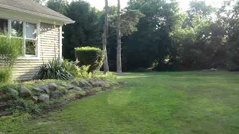 09 Proto SLG Melinium 12.5 BPS