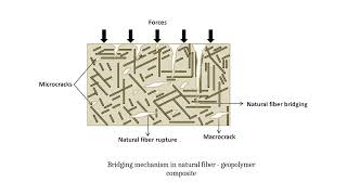 Geopolymer composites reinforced with natural Fibers: A review of recent advances ...